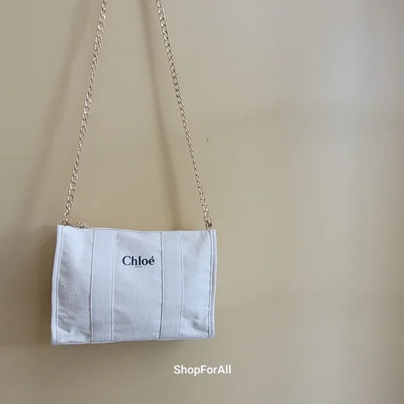 Chloe pouch crossbody bag